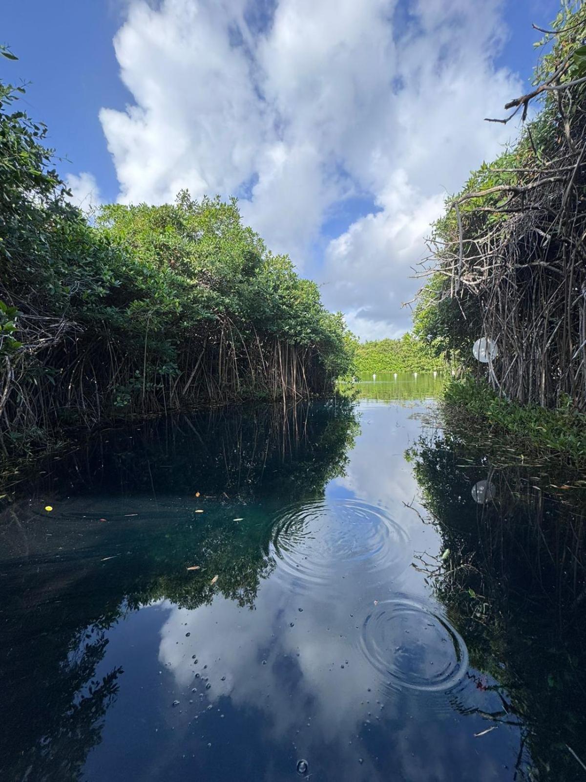 Cabanas Tulum - Aldea Mangle & Cenote ภายนอก รูปภาพ