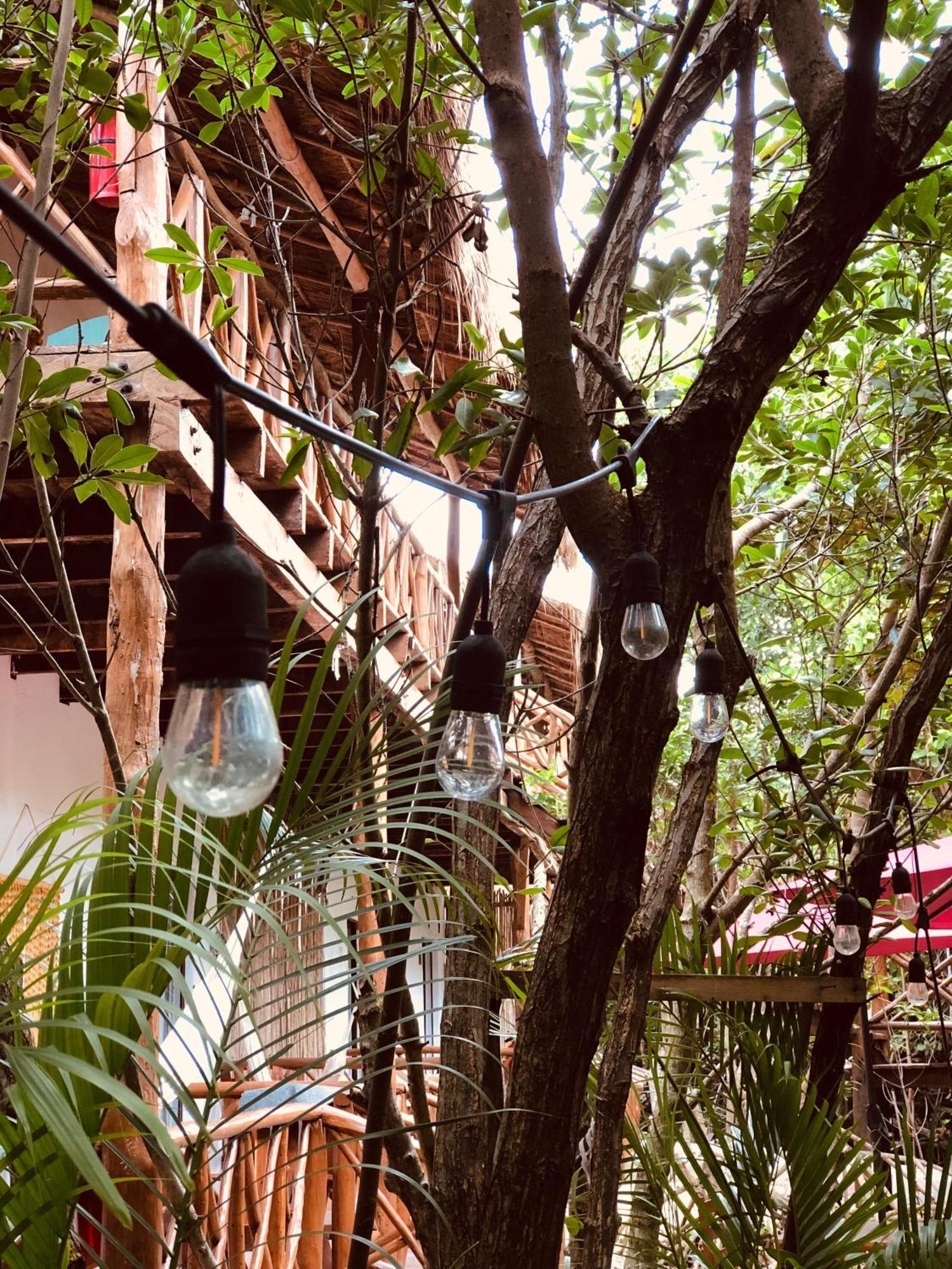 Cabanas Tulum - Aldea Mangle & Cenote ภายนอก รูปภาพ