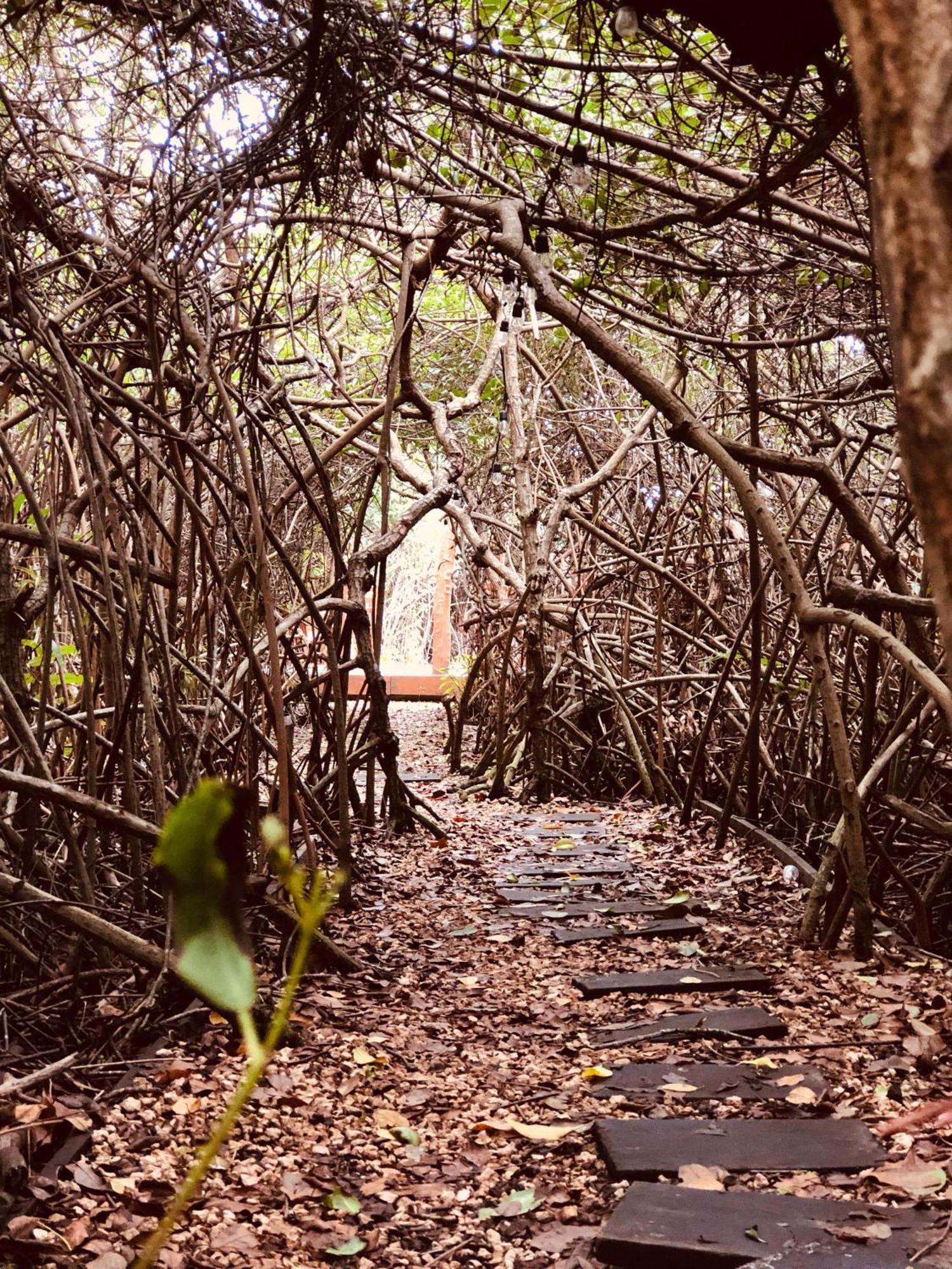 Cabanas Tulum - Aldea Mangle & Cenote ภายนอก รูปภาพ