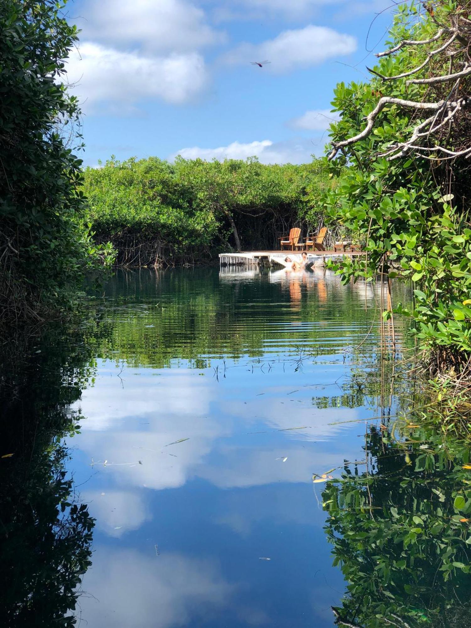 Cabanas Tulum - Aldea Mangle & Cenote ภายนอก รูปภาพ