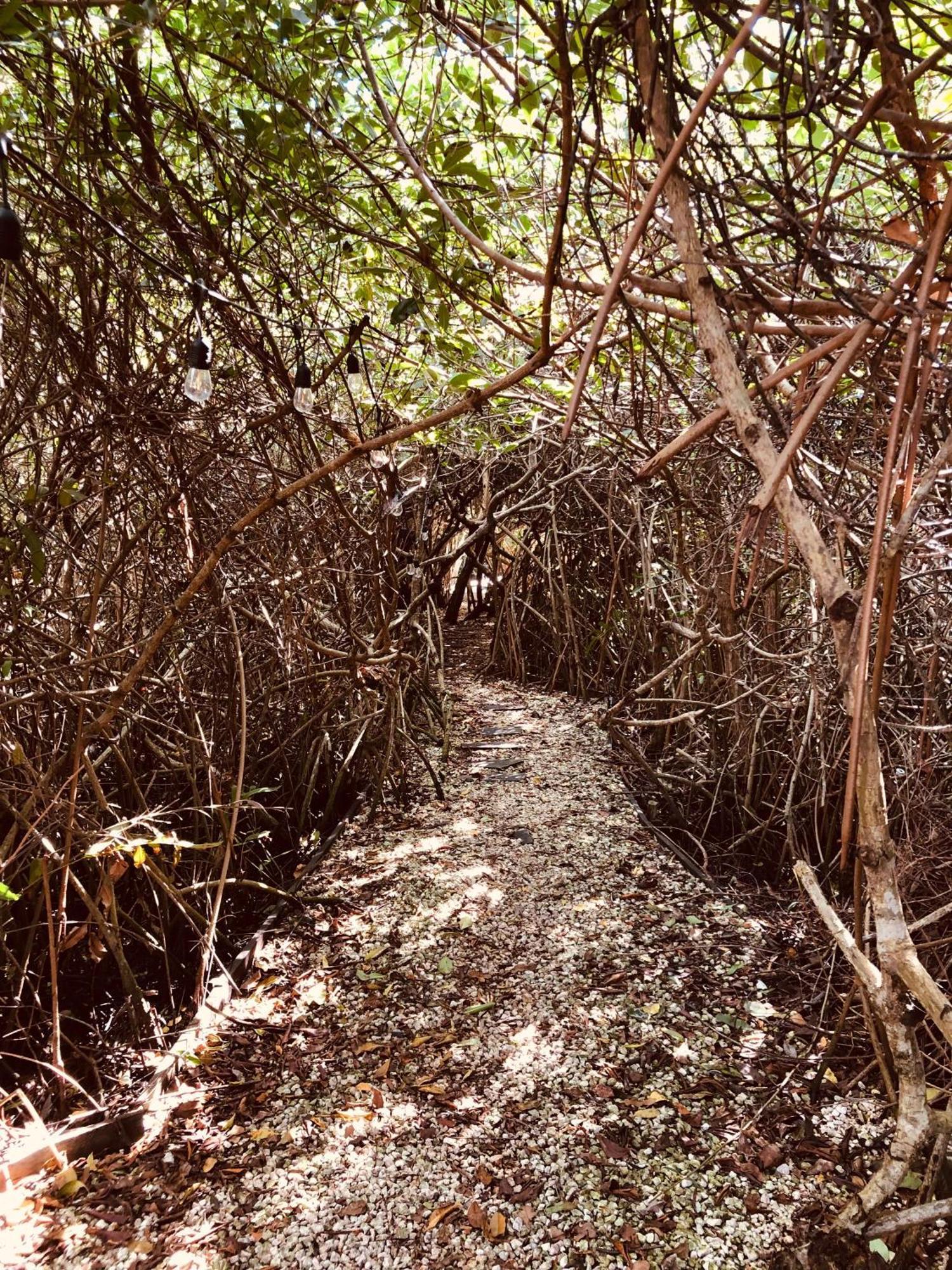 Cabanas Tulum - Aldea Mangle & Cenote ภายนอก รูปภาพ