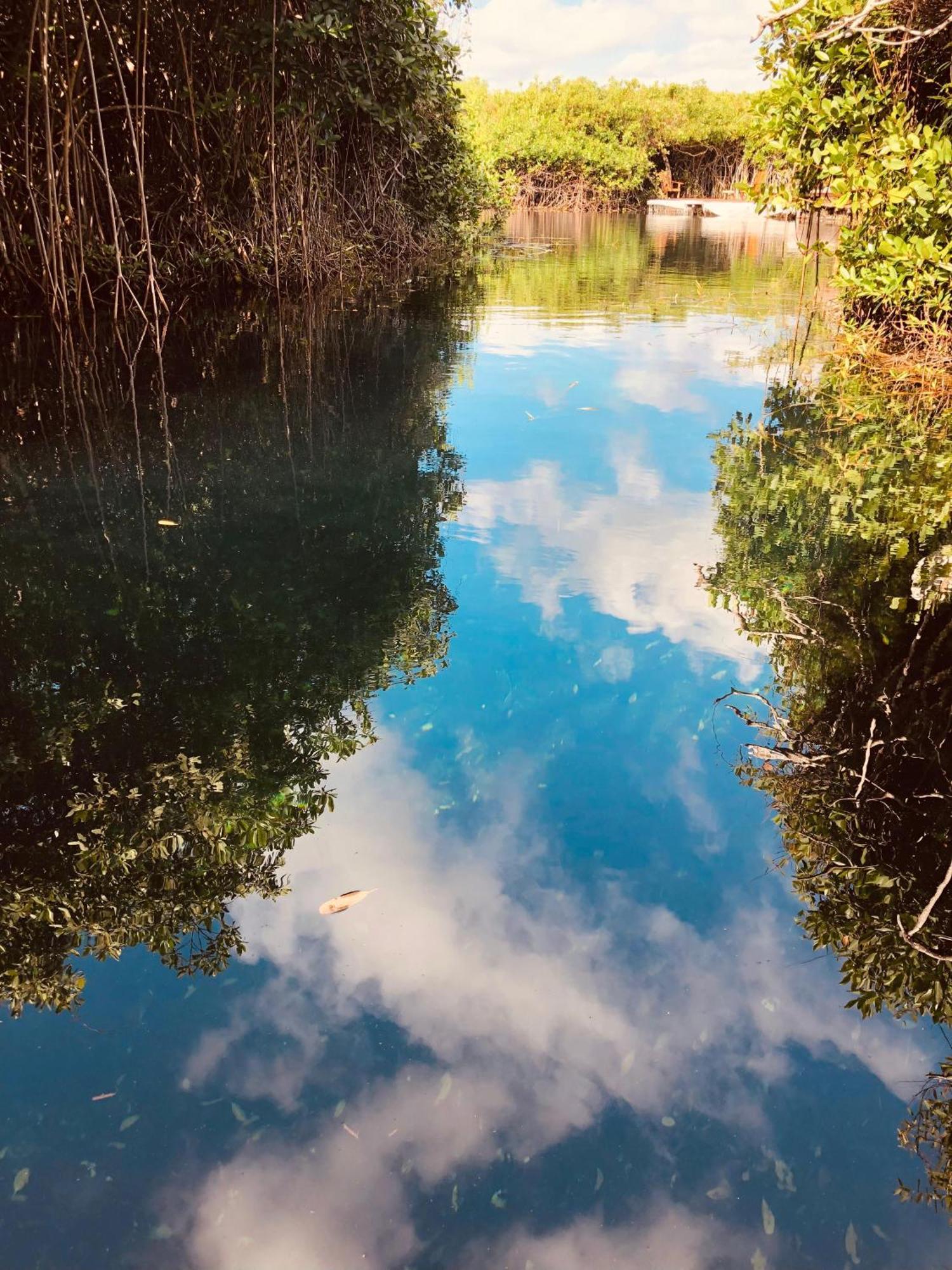 Cabanas Tulum - Aldea Mangle & Cenote ภายนอก รูปภาพ