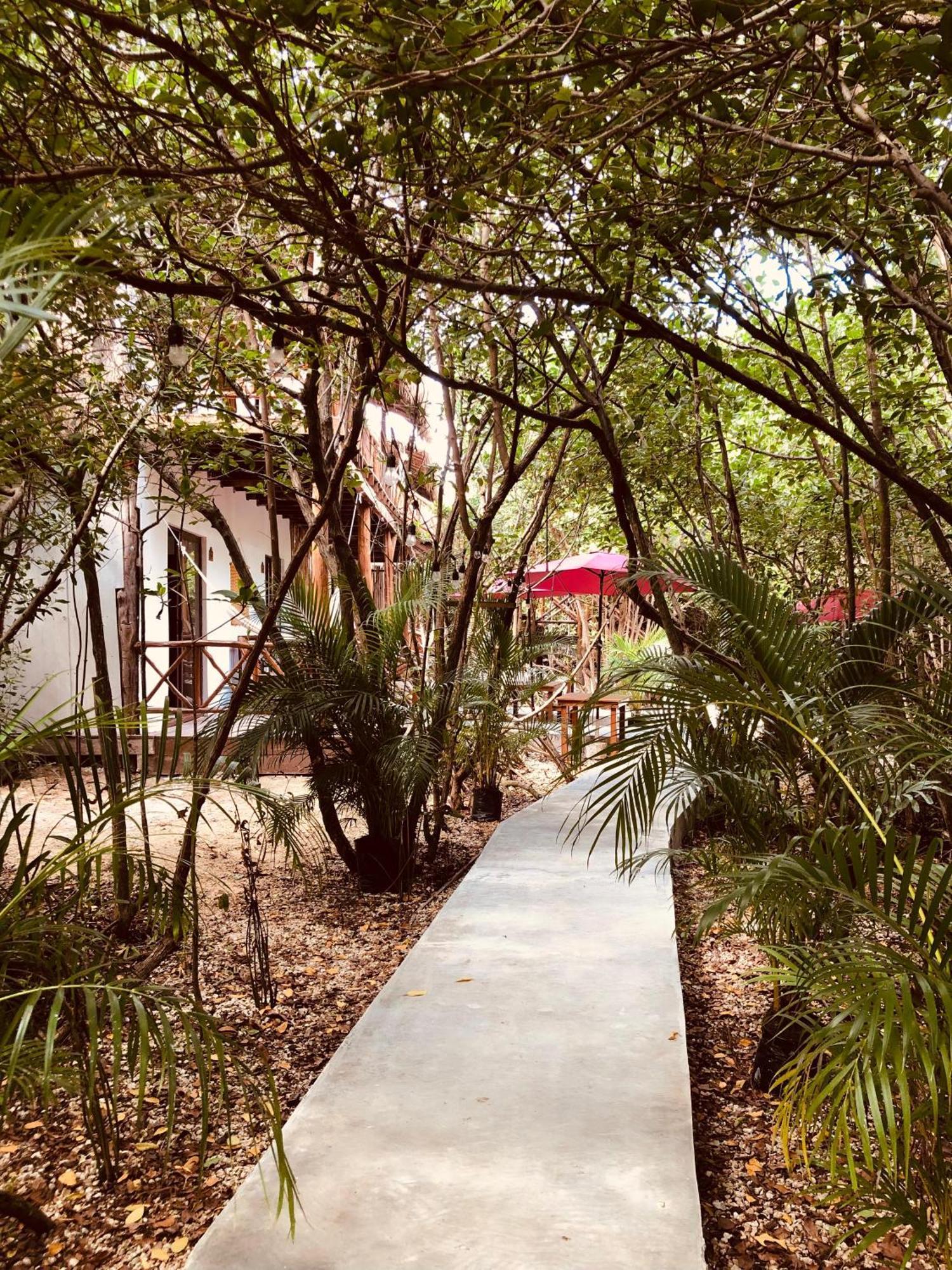 Cabanas Tulum - Aldea Mangle & Cenote ภายนอก รูปภาพ