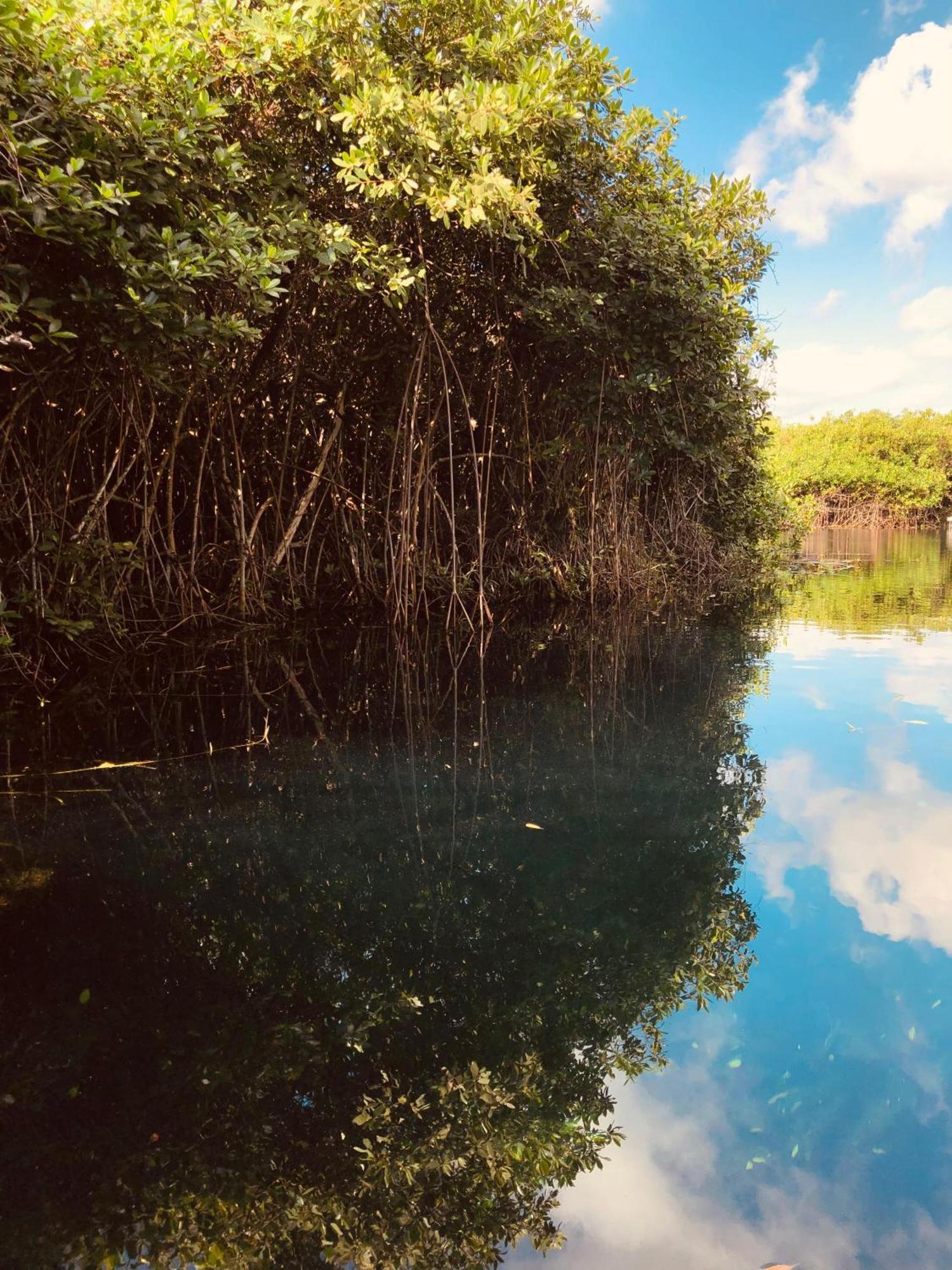 Cabanas Tulum - Aldea Mangle & Cenote ภายนอก รูปภาพ