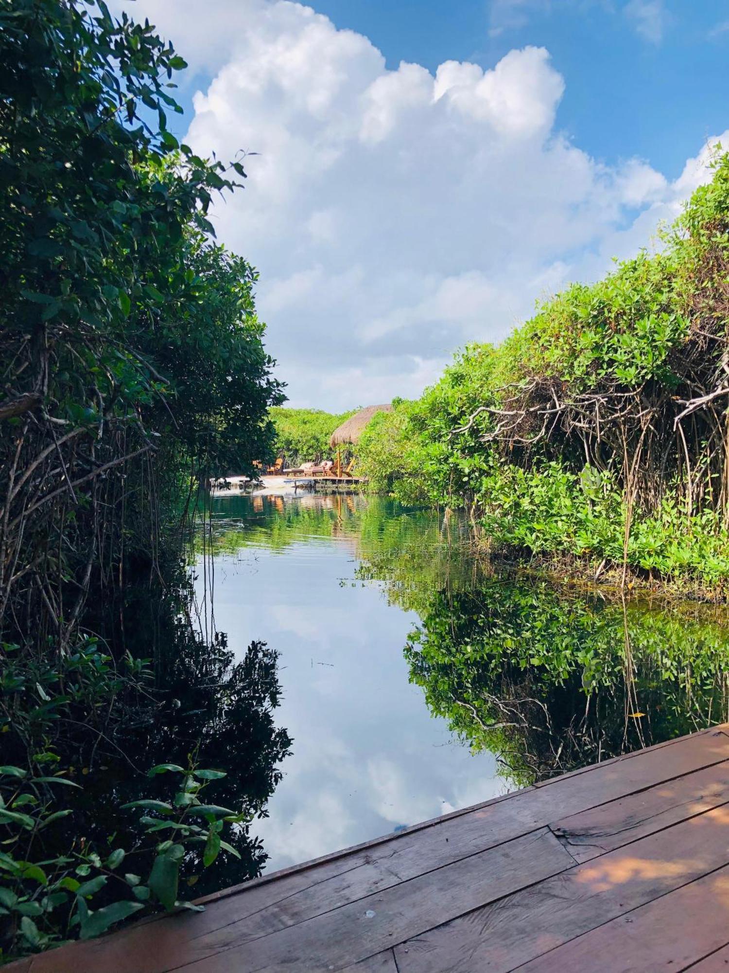 Cabanas Tulum - Aldea Mangle & Cenote ภายนอก รูปภาพ