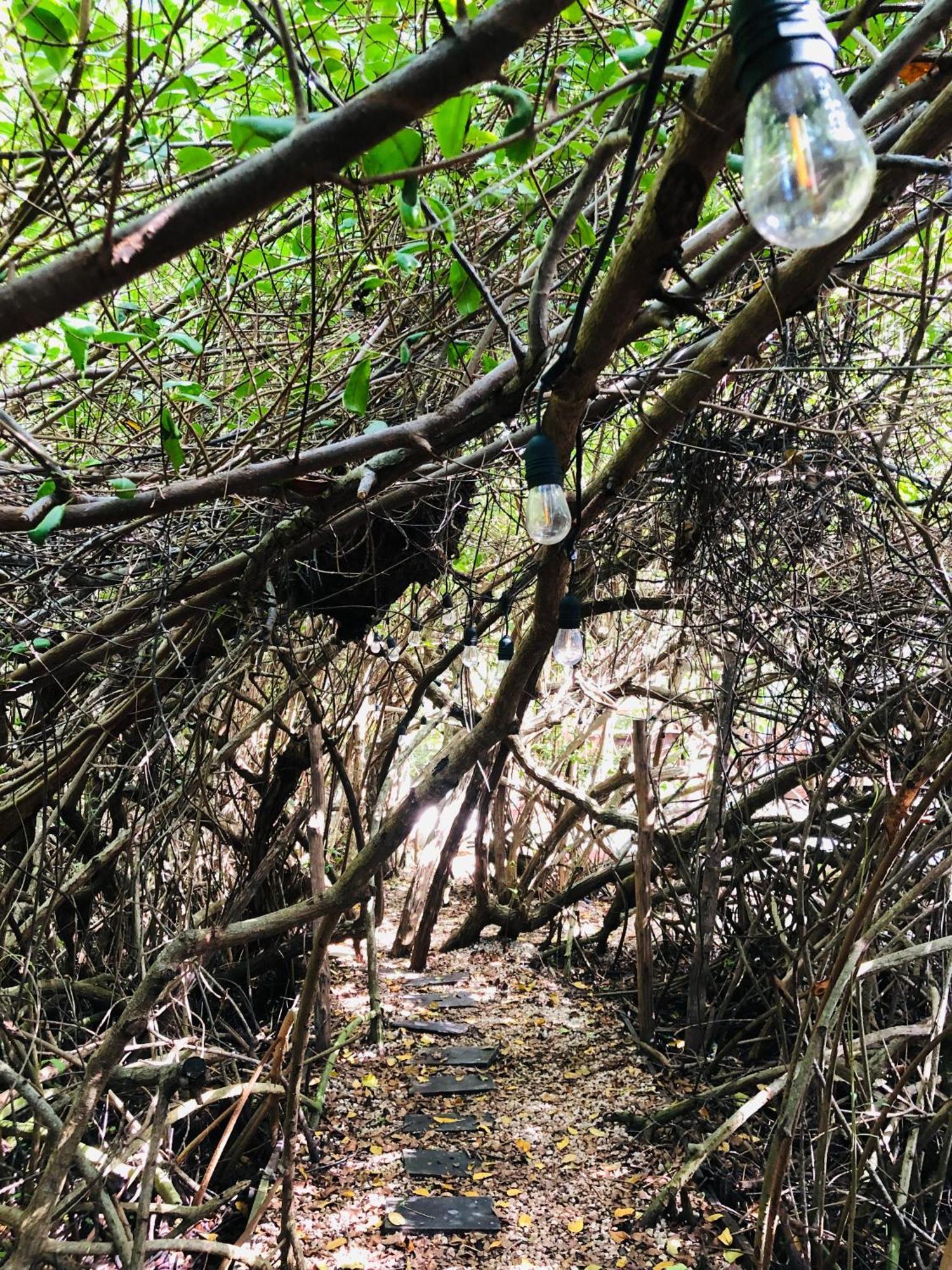 Cabanas Tulum - Aldea Mangle & Cenote ภายนอก รูปภาพ